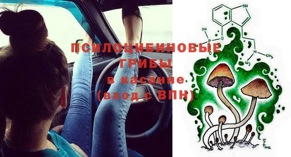 дмт Протвино